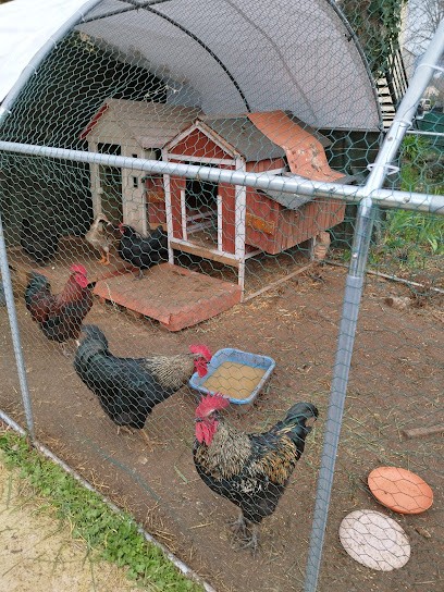 EHPAD - Résidence Du Golf, Maison de Retraite à Roquefort-les-Pins