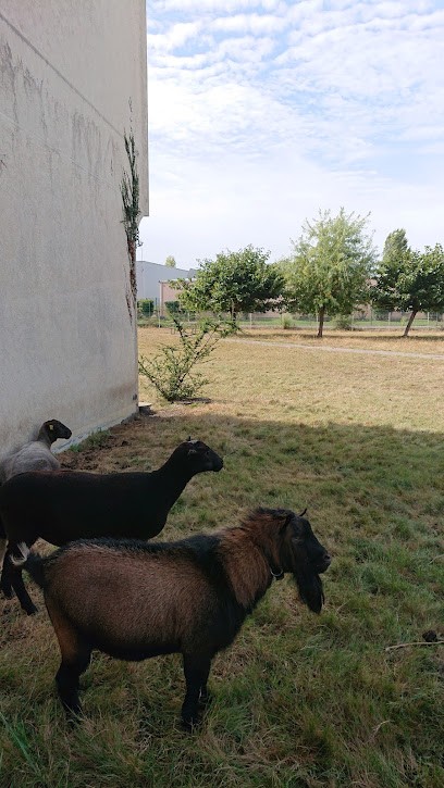 C.H.U. De Bordeaux - Centre De Gérontologie, Maison de Retraite à Lormont
