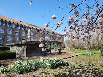 Ehpad Saint Louis, Maison de Retraite à Bollezeele