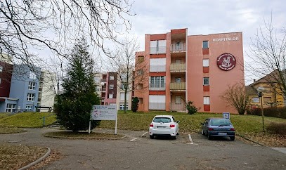 Résidence Autonomie Les Marronniers (Groupe SOS Seniors), Maison de Retraite à Stiring-Wendel