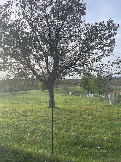 Alternative Maison De Retraite Maison De Retraite à Condat-sur-Trincou