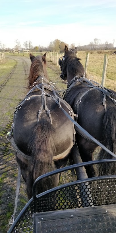 Résidence La Frisonniére, Maison de Retraite à Fourcigny