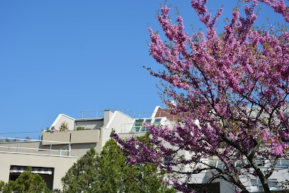Résidence Pour Personnes Agées Les Hermes, Maison de Retraite à Vitrolles