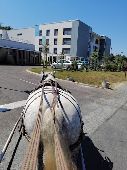 Ehpad Miramont de Guyenne, Maison de Retraite à Miramont-de-Guyenne