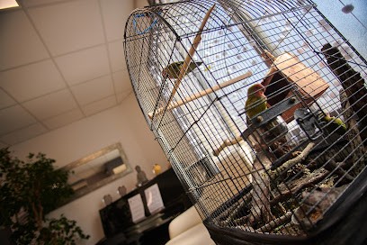 Résidence LA BRISE DES PINS, Maison de Retraite à La Gaude