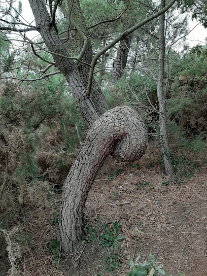 Maison De Retraite EHPAD Men-Glaz, Maison de Retraite à Étel