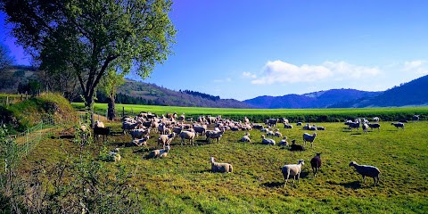 Marpa, Maison de Retraite à Lavoûte-Chilhac