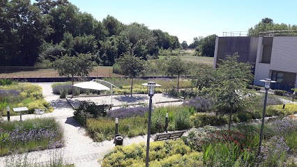 EHPAD François Ier, Maison de Retraite à Villers-Cotterêts