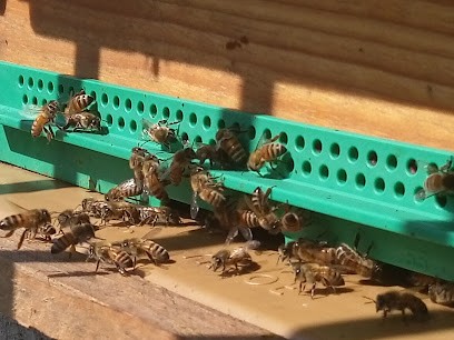 Maison de Retraite La Roseraie, Maison de Retraite à Beaupréau-en-Mauges