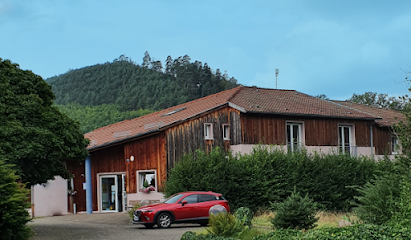 Maison Partagée Pour Seniors - Baerenthal, Maison De Retraite à Baerenthal