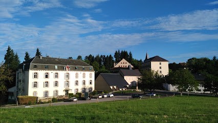 Chatel Accueil, Maison de Retraite à Chevreaux