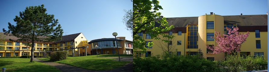 Maison de Retraite des Hêtres, Maison de Retraite à Drulingen