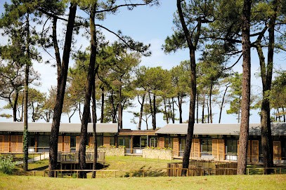 Fondation Partage Et Vie - EHPAD L'Œillet Des Pins - Saint-Georges-de-Didonne, Maison de Retraite à Saint-Georges-de-Didonne