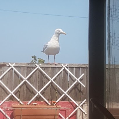Foyer Résidence Stiren Er Mor, Maison de Retraite à Gâvres