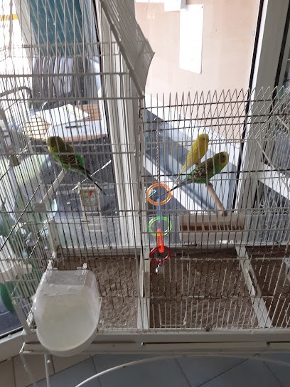 Résidence Des Myosotis, Maison de Retraite à Steenbecque