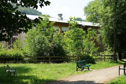 Maison De Retraite Médicalisée (EHPAD), Maison de Retraite à Dinozé