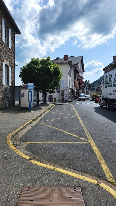 Les Cités Cantaliennes Automne, Maison de Retraite à Vic-sur-Cère